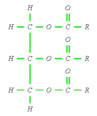 脂グリセロール（グリセリン）分子と脂肪酸分子肪の構造