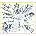 阪神タイガース 1962年優勝 直筆サインの復刻複製色紙