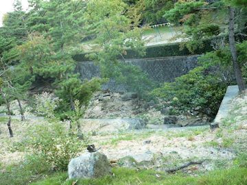 柴犬ラプラス号 ペットホテルからの散歩コースにある剣谷第3公園の紅葉