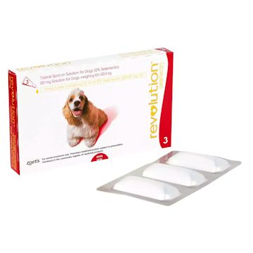 レボリューション 病院処方 中型犬用