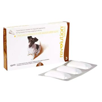 レボリューショ 小型犬用