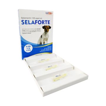 セラフォーテ 小型犬用