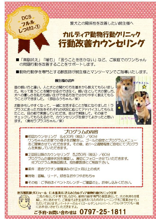 犬しつけ指導4回目とシャンプー・トリミング：2013年02月18日