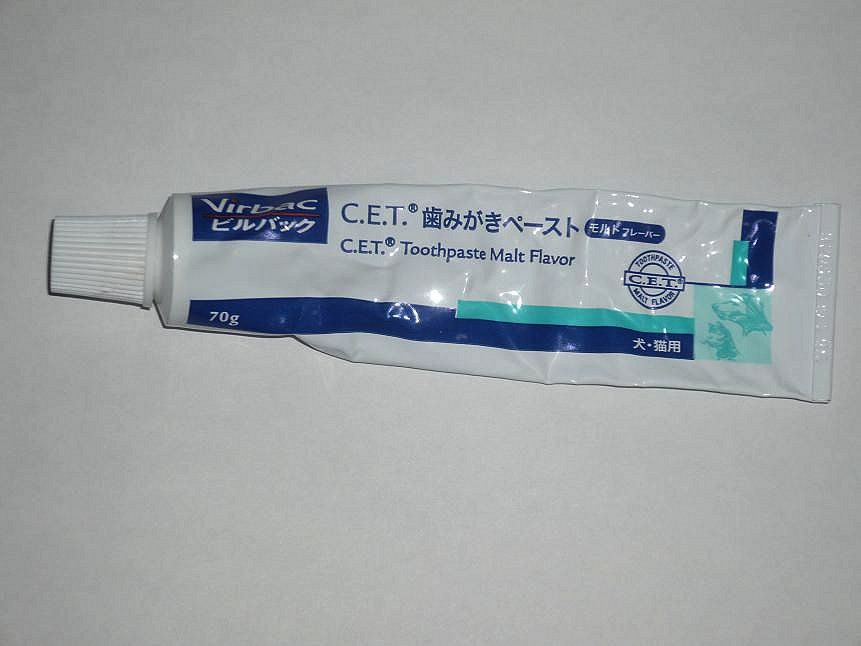柴犬の歯磨き | Virbac C.E.T酵素入り歯みがきペースト モルトフレーバー
