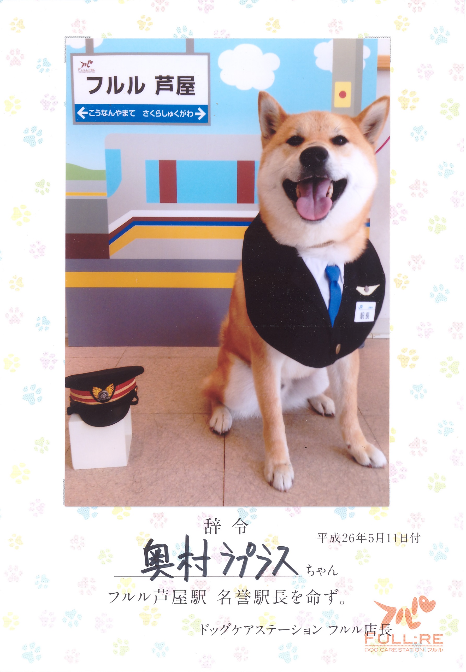 柴犬テル号の心境に添えて～フルル閉店から1か月のラプラス号