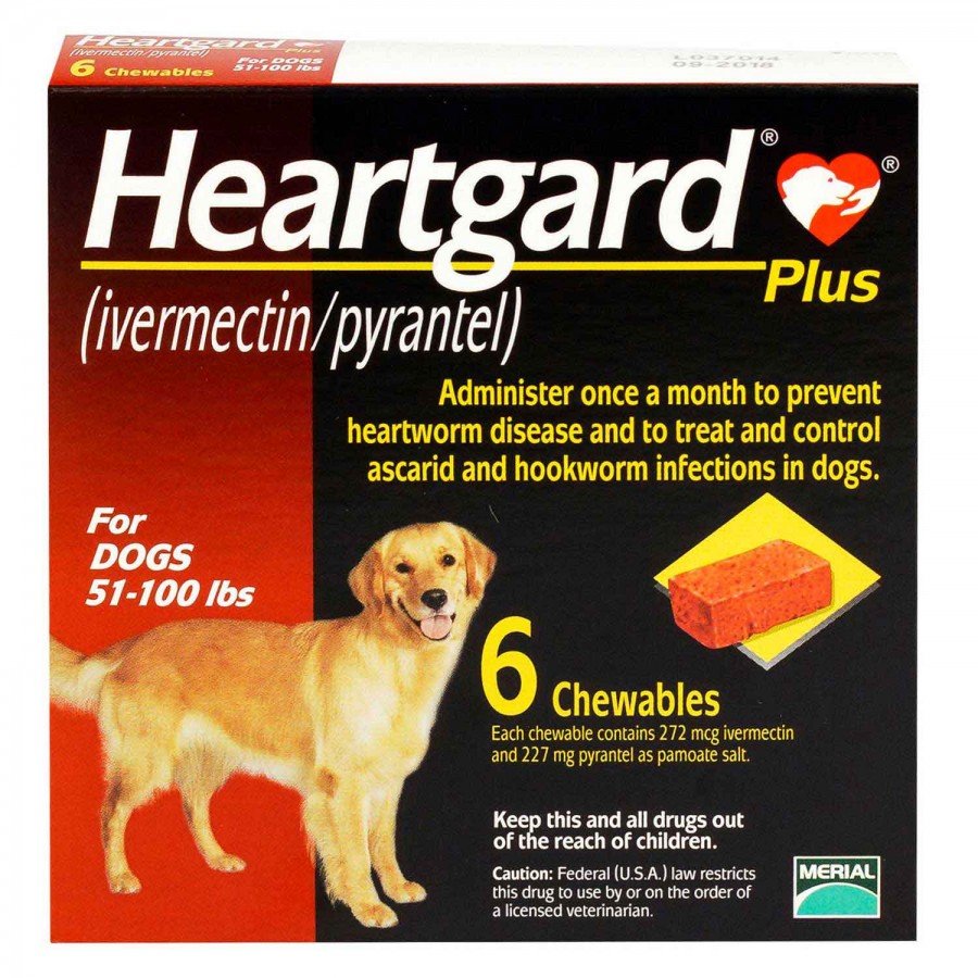 ハートガードプラス 大型犬 | フィラリア予防薬