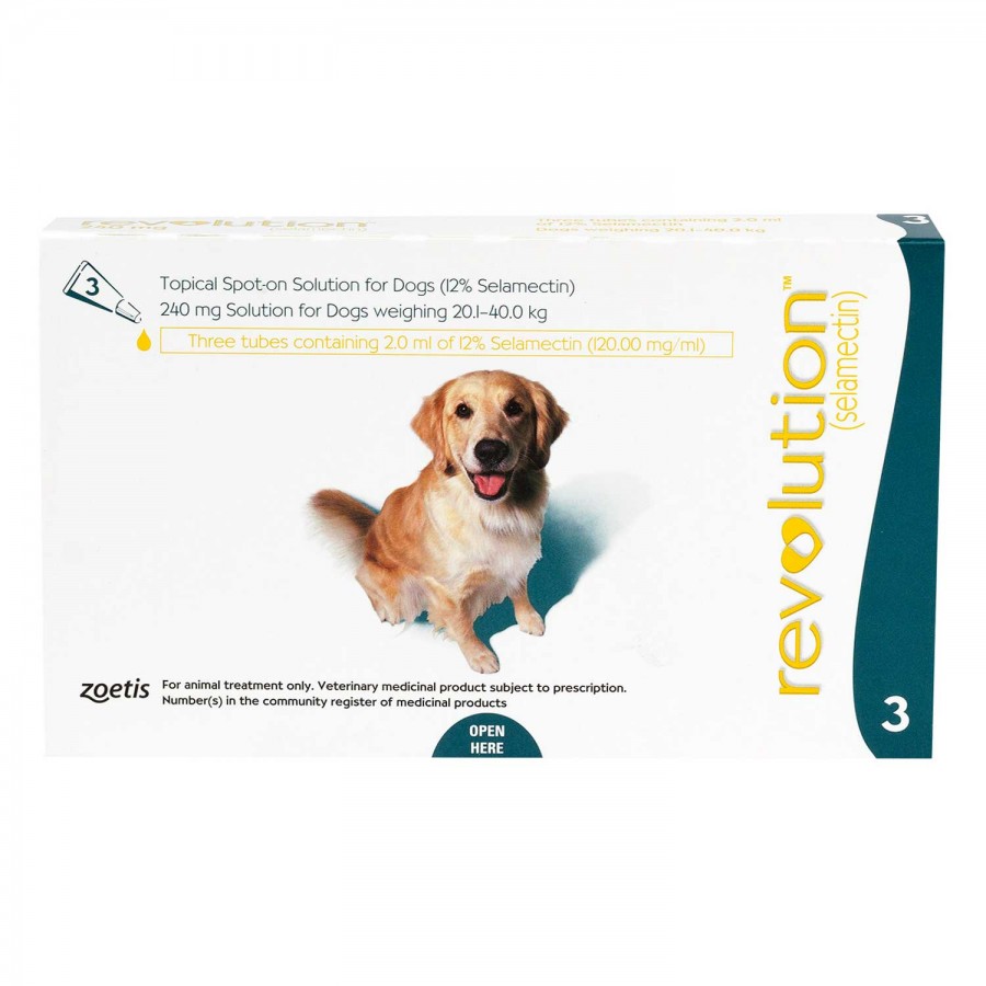 レボリューション 大型犬 | フィラリア予防＆ノミダニ駆除兼用薬