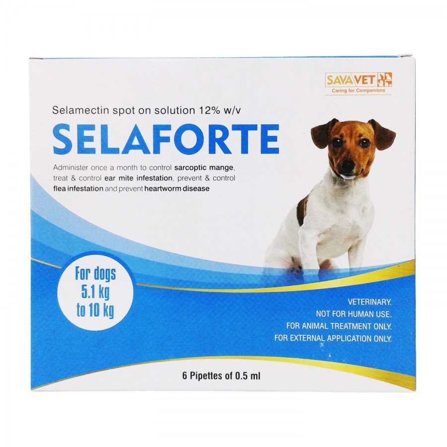 セラフォーテ 小型犬 | フィラリア予防＆ノミダニ駆除兼用薬