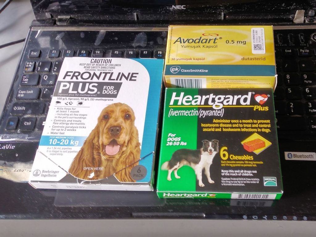 動物医薬品 売上高世界ランキングと躍進するインドのジェネリック薬