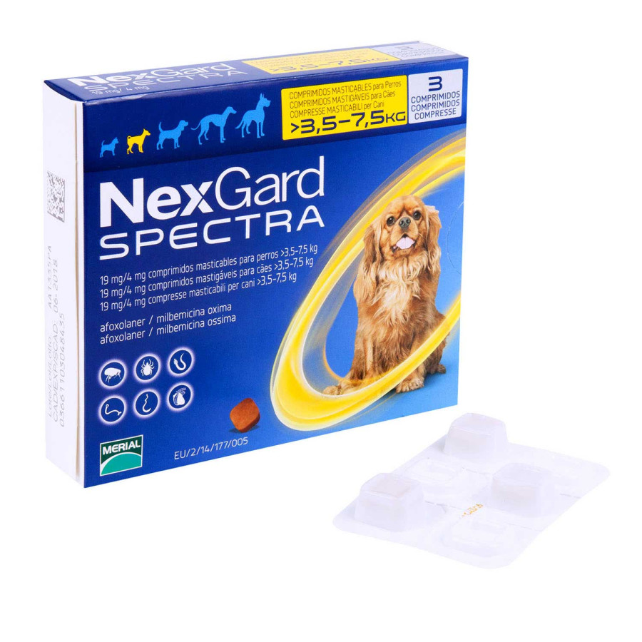 ネクスガードスペクトラ 小型犬 | フィラリア予防＆ノミダニ駆除兼用薬
