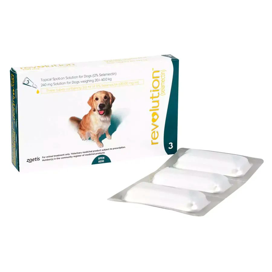 レボリューション 大型犬 | フィラリア予防＆ノミダニ駆除兼用薬