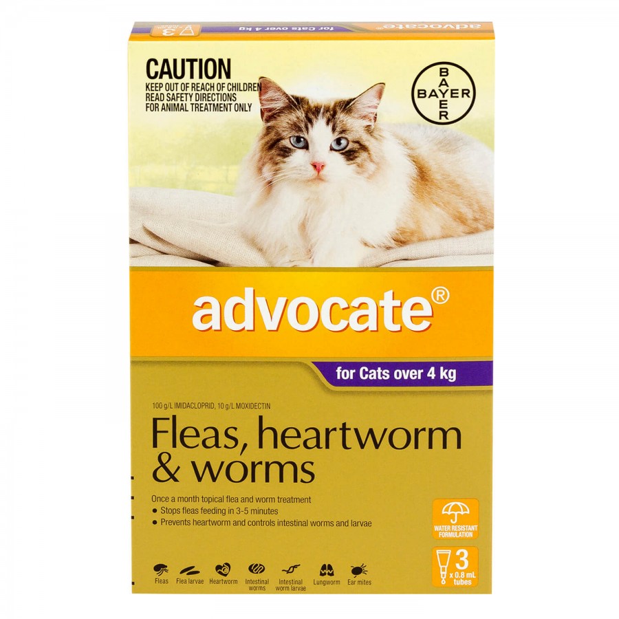 アドボケート 猫用 | フィラリア予防＆ノミダニ駆除兼用薬