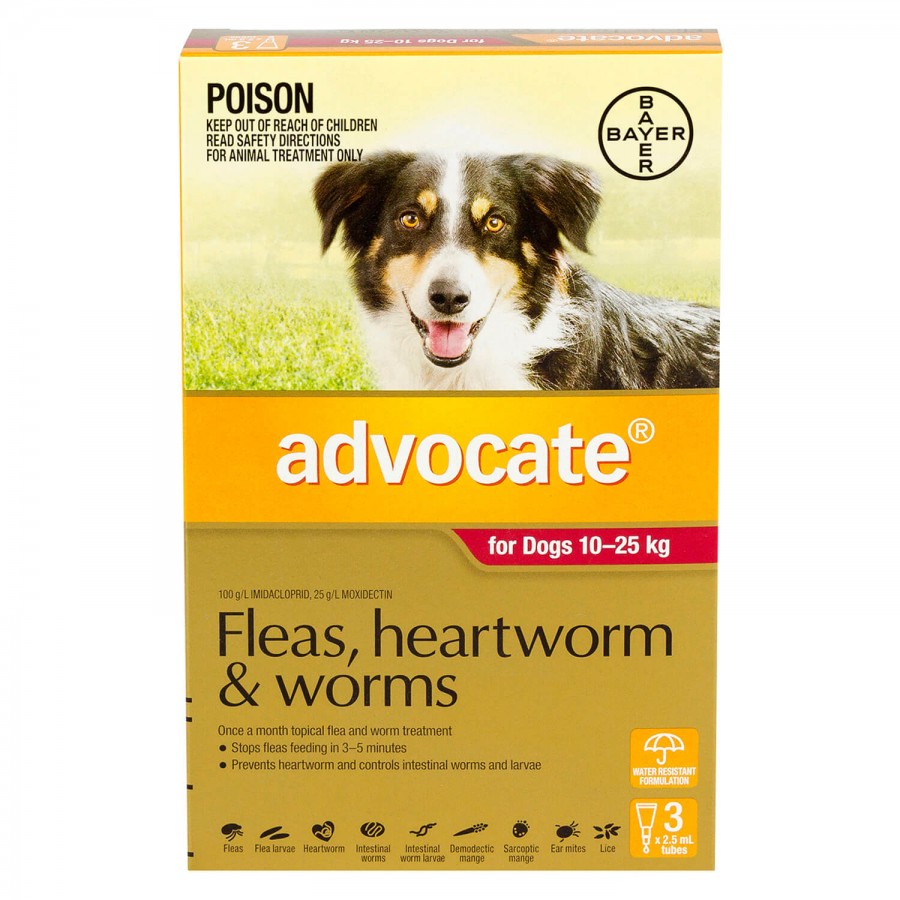 アドボケート 中型犬 | フィラリア予防＆ノミダニ駆除兼用薬