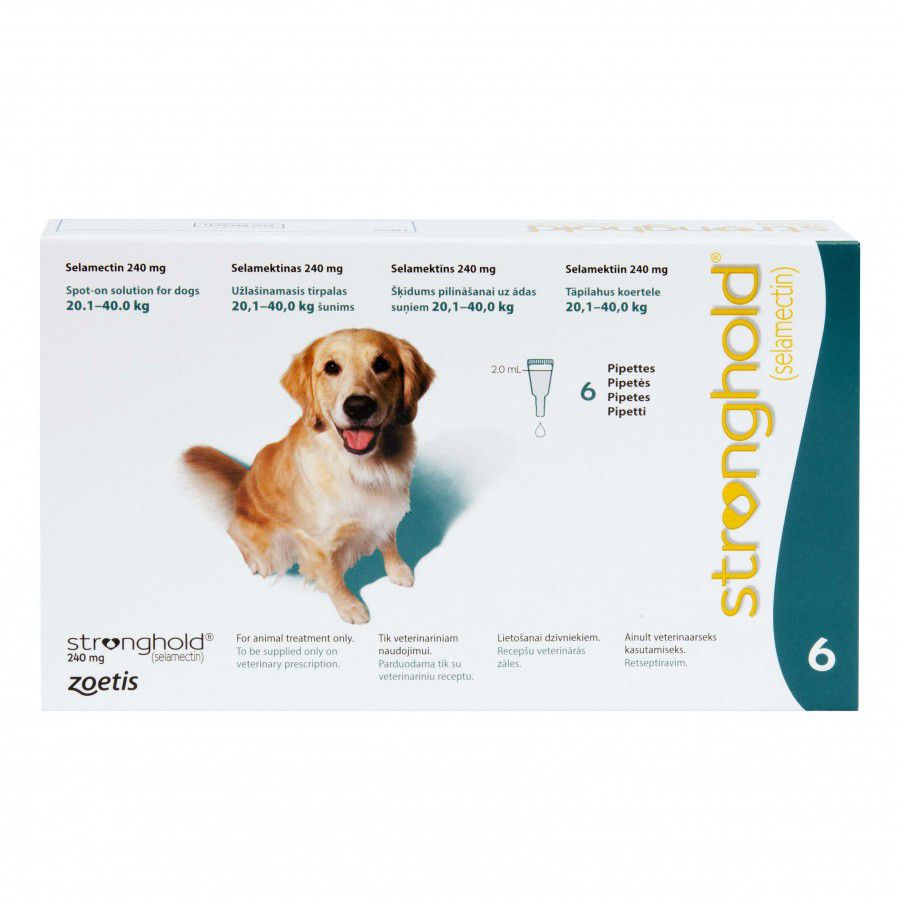 ストロングホールド 大型犬 | フィラリア予防＆ノミダニ駆除兼用薬