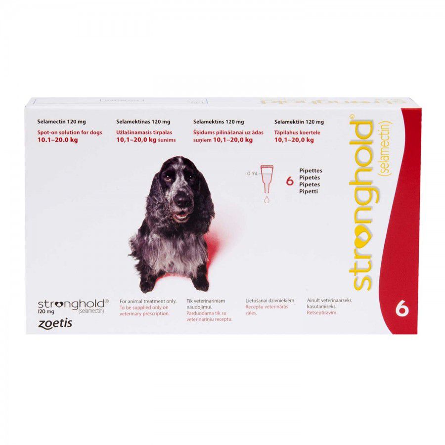 ストロングホールド 中型犬 | フィラリア予防＆ノミダニ駆除兼用薬