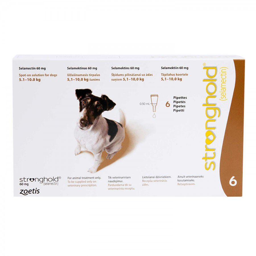 ストロングホールド 小型犬 | フィラリア予防＆ノミダニ駆除兼用薬