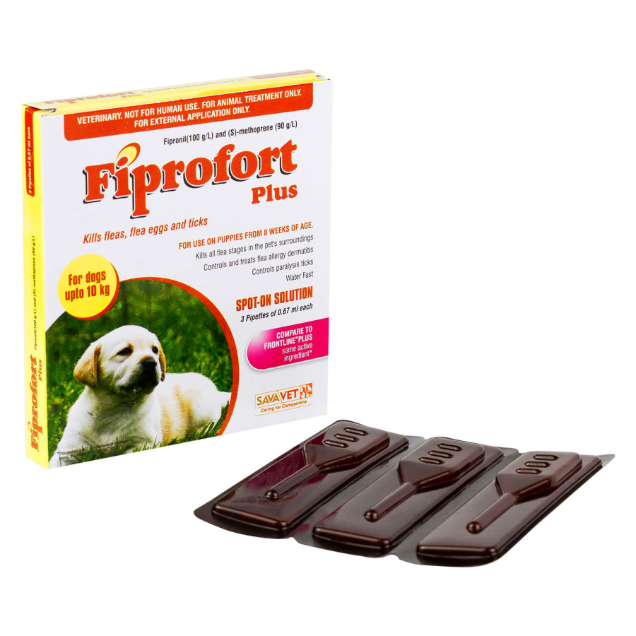 フィプロフォートプラス 小型犬 | ノミダニ駆除薬