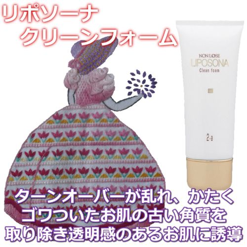 ベルマン化粧品 リポソーナ クリーンフォーム(S