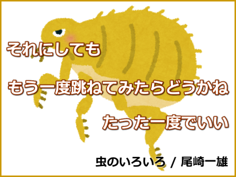 ノミのサーカスの無残と幸福
