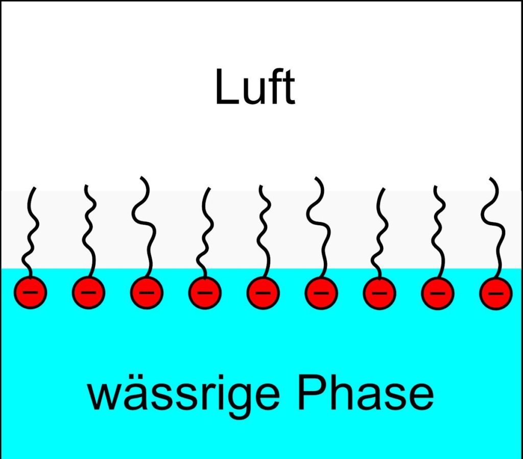 石油由来合成界面活性剤は悪者か？