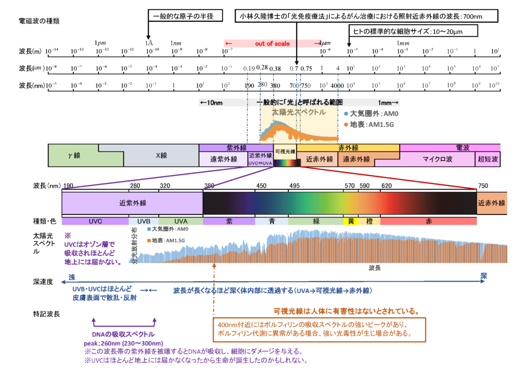 光と生体の不思議な絆～近紫外線・可視光線・近赤外線
