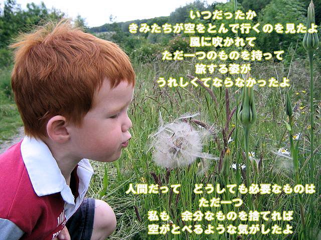 花に寄せて－星野富弘と三橋節子