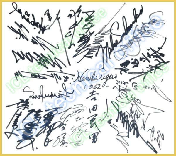 阪神タイガース 1962年優勝 直筆サインの復刻複製色紙